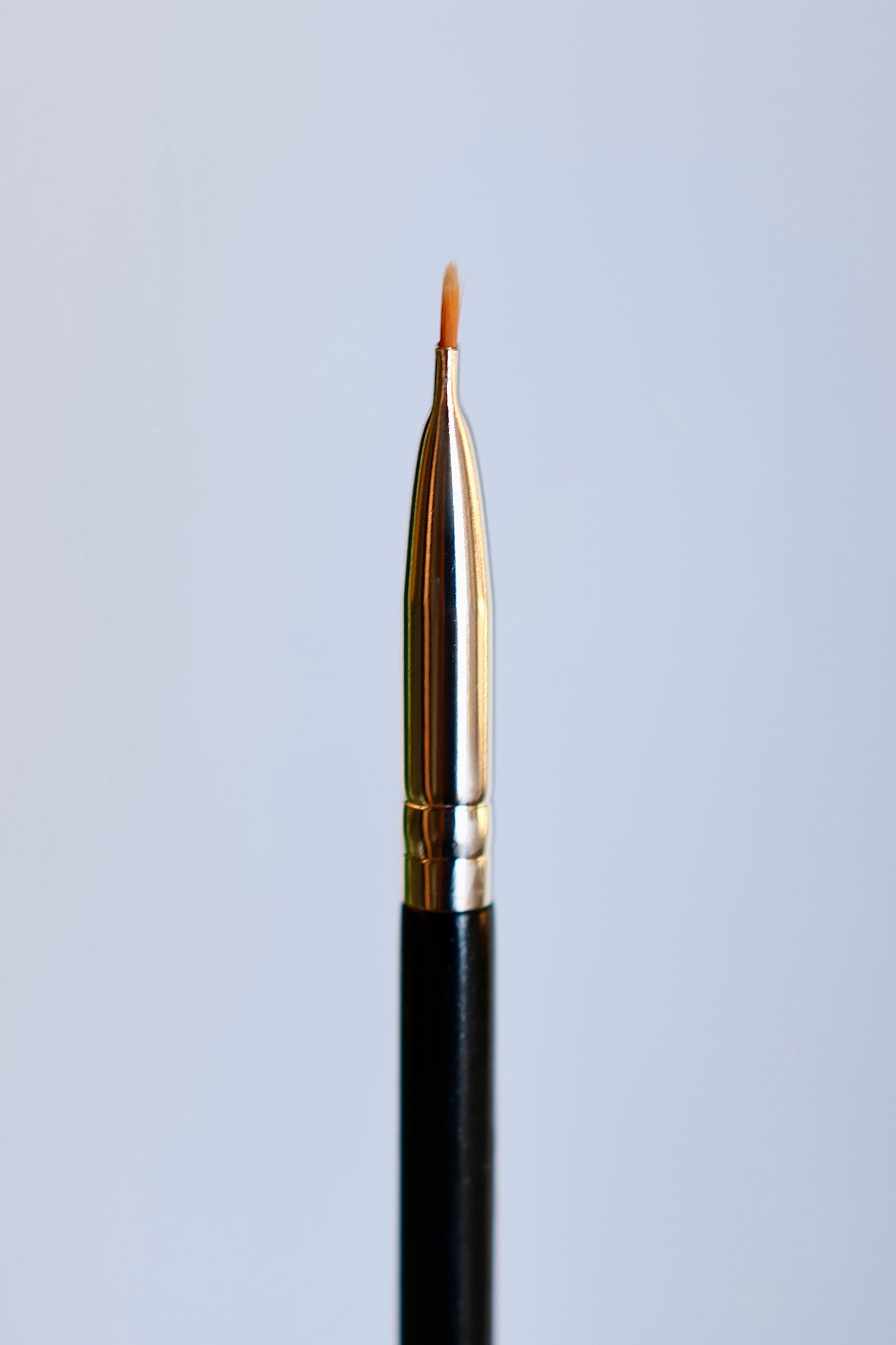 Angled Eyeliner Brush